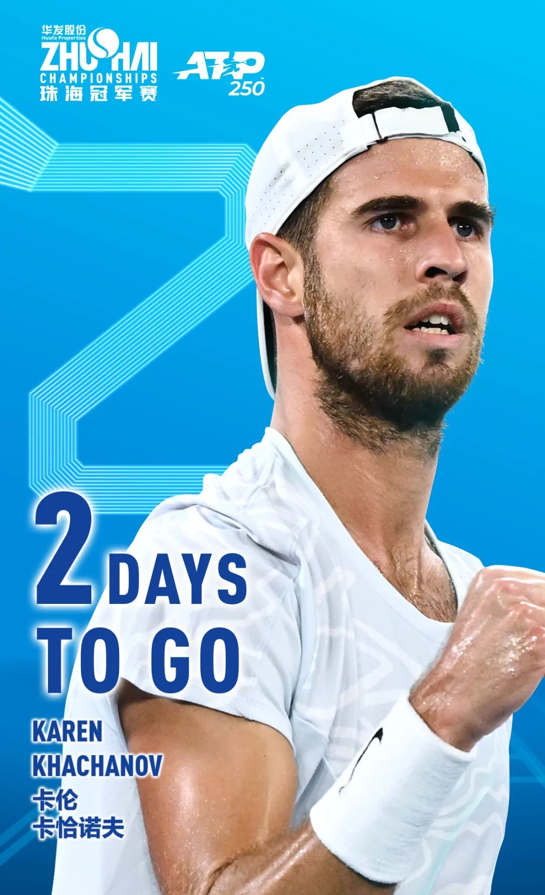 正如其他成 正如其他成